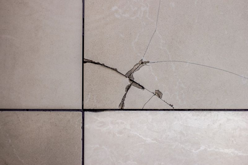 Ceramic Tile Repair Service